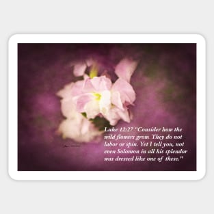 Luke 12:27 Bible Quote On Pink Flower Sticker